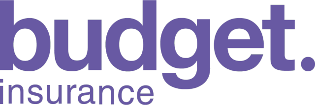 Budget Insurance知名保险品牌Logo