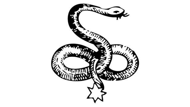 The Snake符号