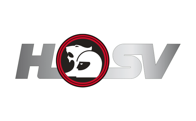 HSV Logo - 澳大利亚汽车改装和性能部门